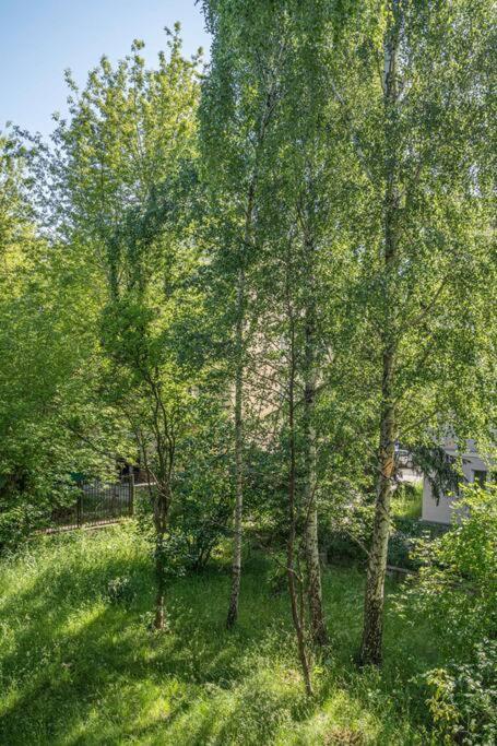 Rozana, Stary Mokotow Apartment Warsaw Exterior photo